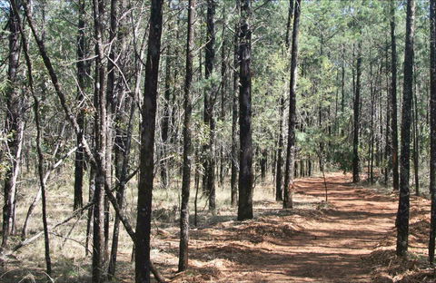 Yana-y Warruwi Walking Track - Holiday Adelaide 0