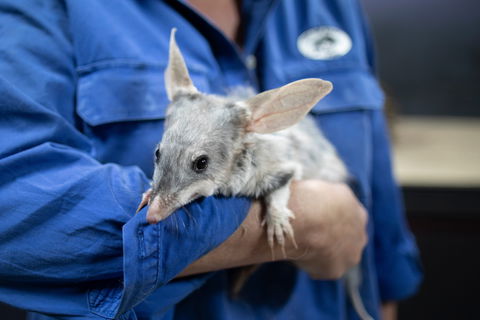 9 Day Outback Adventure - Holiday Adelaide 0