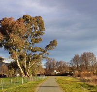 Adelong Falls Walk