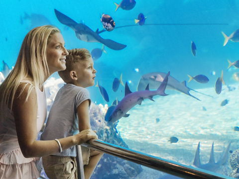 Australia's Sea World - Holiday Adelaide 2