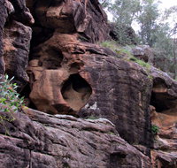 Bertha's Gully Walking Track - Holiday Adelaide