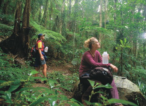 Binna Burra, Lamington National Park - Holiday Adelaide 0