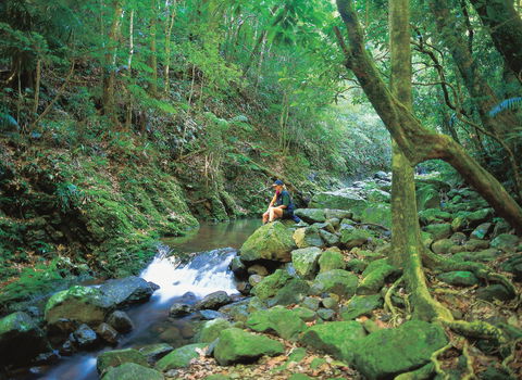 Binna Burra, Lamington National Park - Holiday Adelaide 2