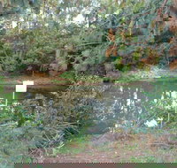 Birdwing Butterfly Walk - Holiday Adelaide