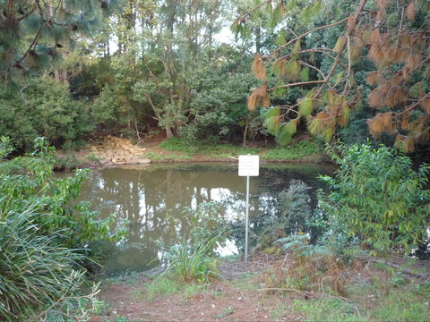 Birdwing Butterfly Walk - Holiday Adelaide 0