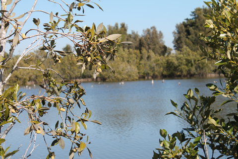 Boyters Lane Bird Hide - Holiday Adelaide 2