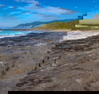 Cat and Kitten Beach