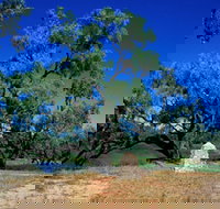 Comet - Holiday Adelaide