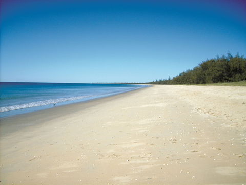 Coral Coast Pathways (Woodgate Beach Section) - Holiday Adelaide 0