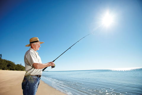 Coral Coast Pathways (Woodgate Beach Section) - Holiday Adelaide 1