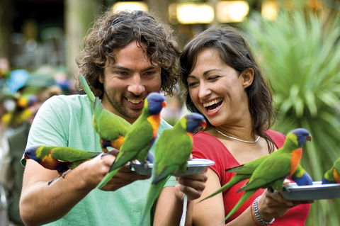 Currumbin Wildlife Sanctuary - Holiday Adelaide 0