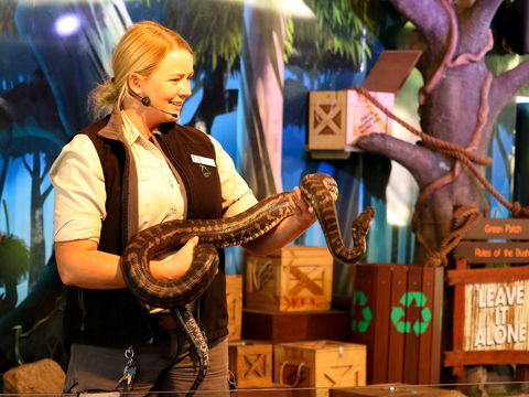 Currumbin Wildlife Sanctuary - Holiday Adelaide 2