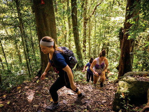 Devils Thumb (Manjal Jimalji) Trail - Holiday Adelaide 0