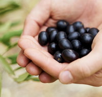 Eat Pick Grow Trail - Wanneroo and Chittering - Holiday Adelaide
