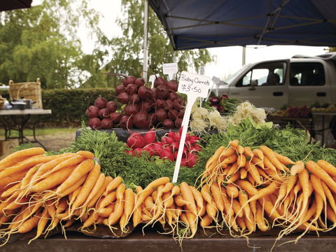 Evandale - Holiday Adelaide 1