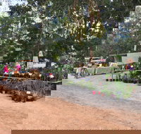 Fred's Pass Rural Market - Holiday Adelaide