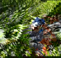 Georges Head - Holiday Adelaide