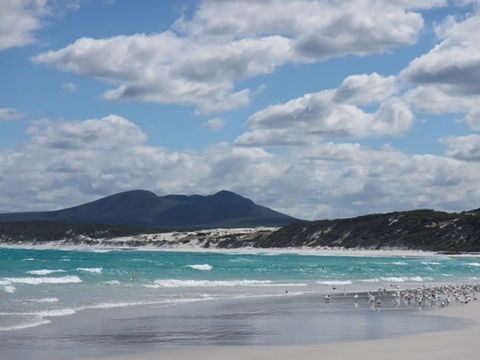 Hakea Walk Trail, East Fitzgerald National Park - Holiday Adelaide 0