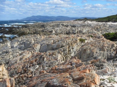 Hakea Walk Trail, East Fitzgerald National Park - Holiday Adelaide 1