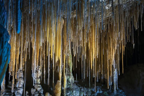 Hastings Caves And Thermal Springs - Holiday Adelaide 0