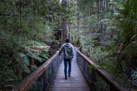 Hastings Caves And Thermal Springs - Holiday Adelaide 1