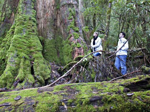 Hastings Caves And Thermal Springs - Holiday Adelaide 2