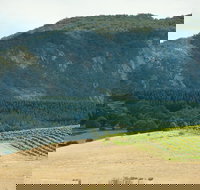 Langi Ghiran State Park - Holiday Adelaide