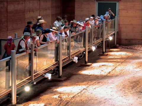 Lark Quarry Conservation Park - Holiday Adelaide 0
