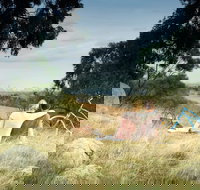 Lysterfield Park - Holiday Adelaide