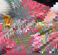 Mokoan Rest Stop Northbound - Holiday Adelaide