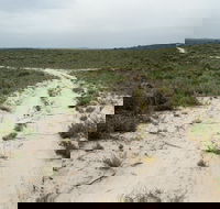 Ngarkat Conservation Park - Holiday Adelaide