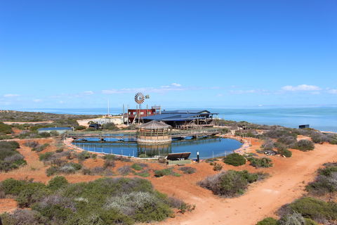 Ocean Park Aquarium - Holiday Adelaide 1