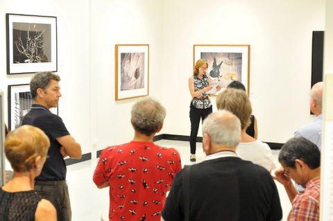 Pine Rivers Art Gallery - Holiday Adelaide 1