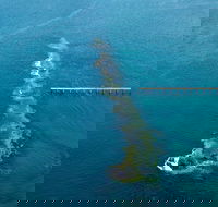 Port Noarlunga Reef Sanctuary Zone - Encounter Marine Park - Holiday Adelaide