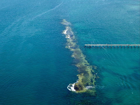 Port Noarlunga Reef Sanctuary Zone - Encounter Marine Park - Holiday Adelaide 0