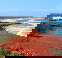 Red Cliff - Holiday Adelaide