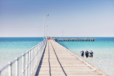 Rye Bay Trial - Holiday Adelaide 1