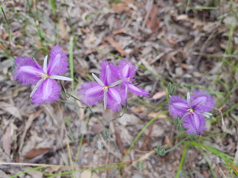 Samford Conservation Park And Bunyaville Conservation Park - Holiday Adelaide 1