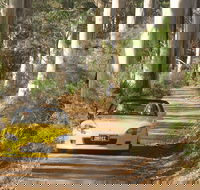 Scotsdale Tourist Drive - Holiday Adelaide