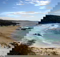 Snorkelling Mystery Bay - Holiday Adelaide