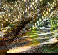 Square Head Track 2 - Holiday Adelaide