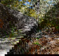 Starlights Trail - Holiday Adelaide