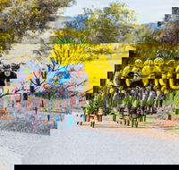 The Heron's Highway - Avon River Cycle Trail - Holiday Adelaide