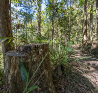 Thylogale Track - Holiday Adelaide