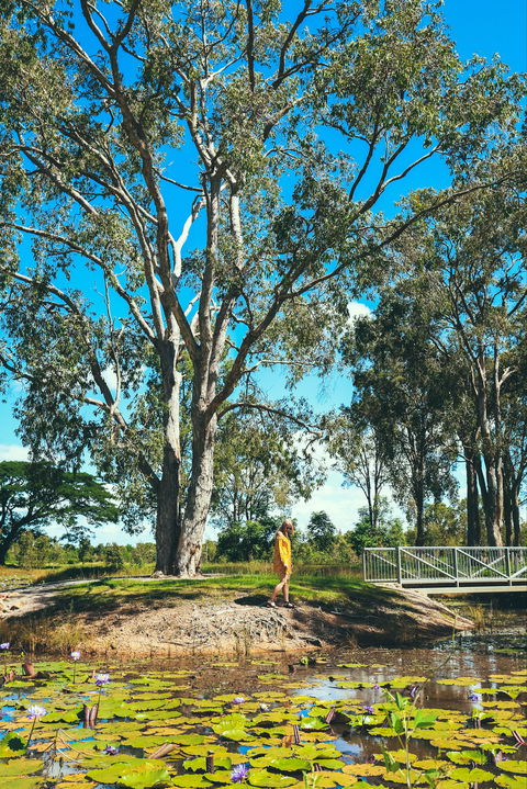 TYTO Wetlands - Holiday Adelaide 1