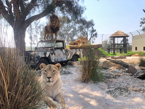 Zambi Wildlife Retreat - Holiday Adelaide 0