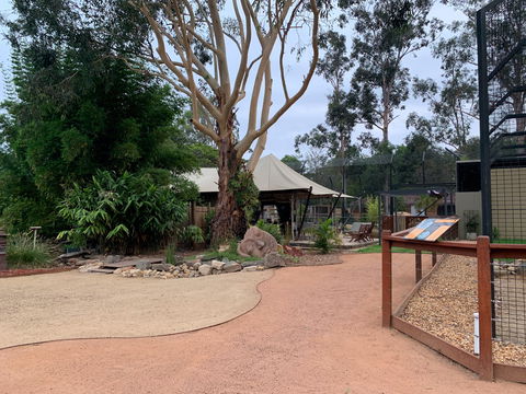 Zambi Wildlife Retreat - Holiday Adelaide 2