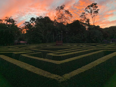 Bellingham Maze - Holiday Adelaide 0