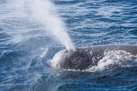 Bremer Bay - Holiday Adelaide 1