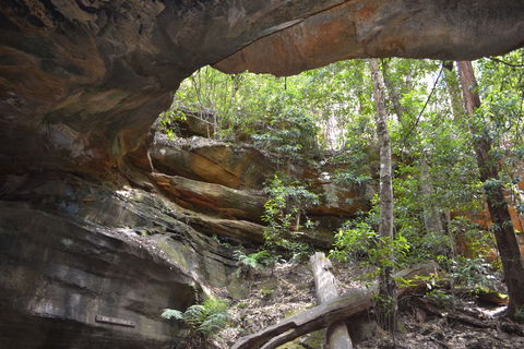 Cave Creek Walking Track - Holiday Adelaide 0